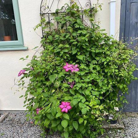 DelaboleRural Cosy Retreat For Two Near Port Isaac公寓 外观 照片